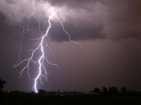 20 самых популярных научных мифов