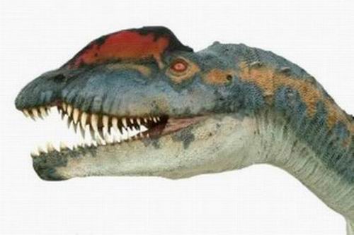 20 невероятных фактов