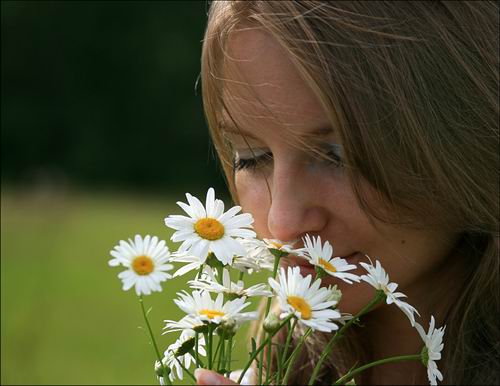 Интересное про запахи