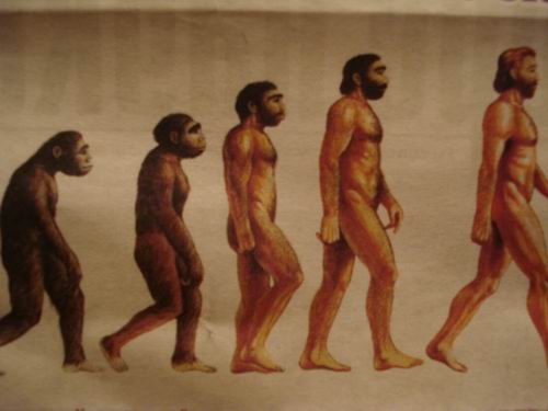 Выявлена десятка самых загадочных особенностей человека