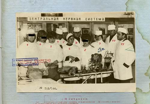 Совершенно Секретно - Советский биоробот Совершенно Секретно - Советский биоробот