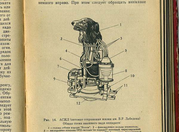 Совершенно Секретно - Советский биоробот