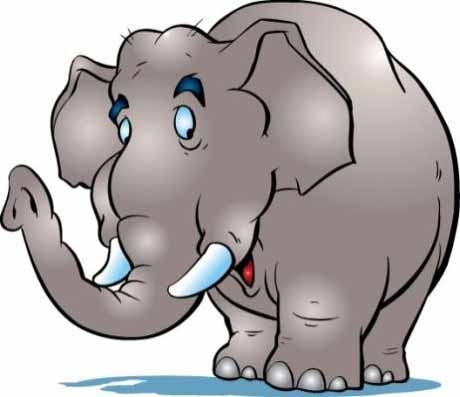 Почему в США казнили слона?