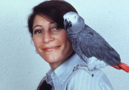 Самая умная птица в мире