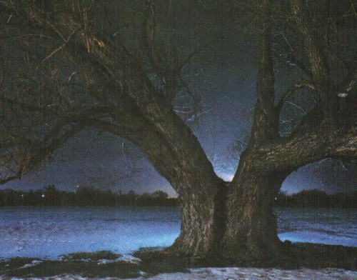 Джинксы. Несущие беду Джинксы. Несущие беду