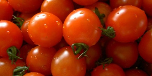 Почему помидоры красного цвета?