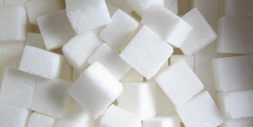 Почему кошки не любят сладкое?