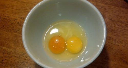 Почему в яйце бывает два желтка?
