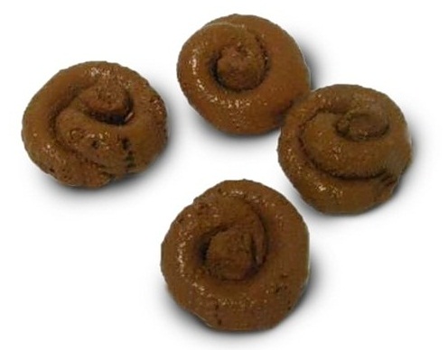 Почему какашки пахнут