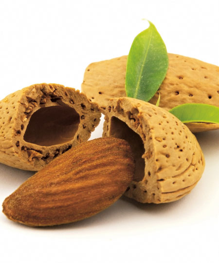 Интересные факты про миндаль