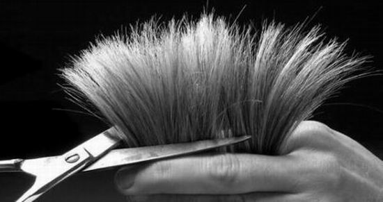 Почему секутся волосы?
