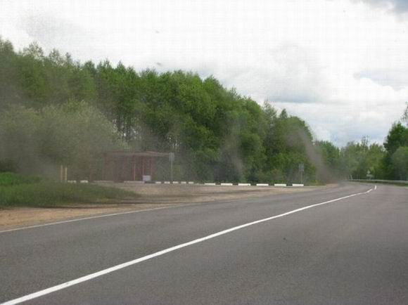 Нашествие комаров на деревню в Беларуси Нашествие комаров на деревню в Беларуси