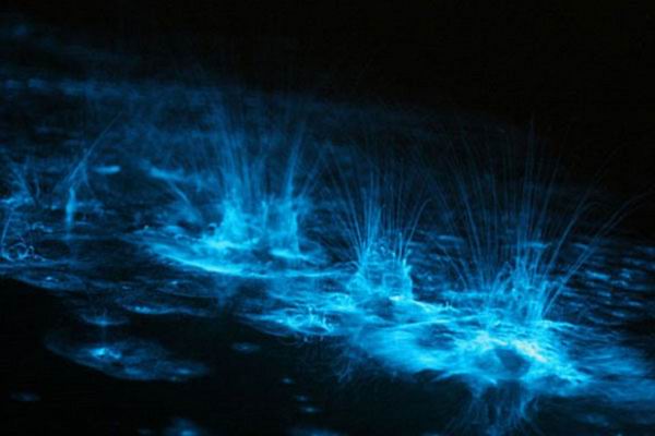 Топ 10 зрелищных явлений природы Топ 10 зрелищных явлений природы