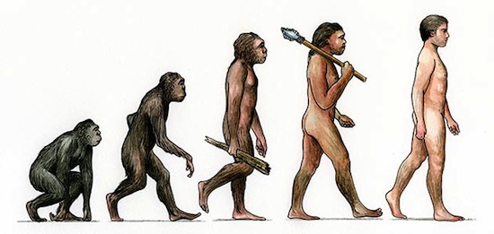 15 заблуждений об эволюции