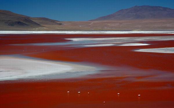 5 озер удивительных цветов