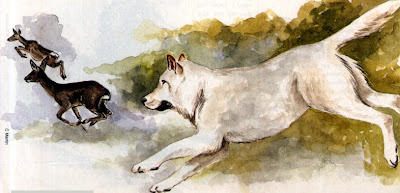 Топ-10 паранормальных чудовищ из Британии Топ-10 паранормальных чудовищ из Британии