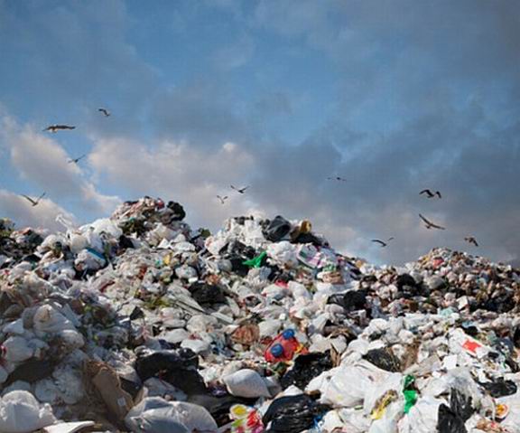 Интересные факты о переработке отходов
