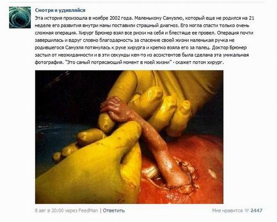 10 популярных небылиц 2012 года