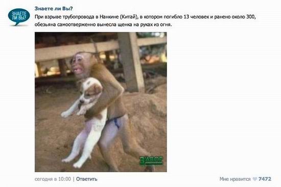 10 популярных небылиц 2012 года