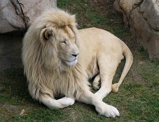 10 популярных небылиц 2012 года