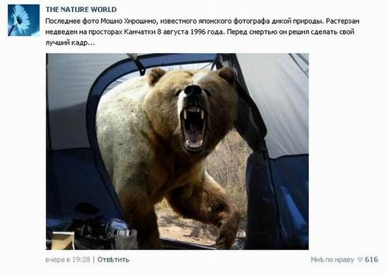 10 популярных небылиц 2012 года