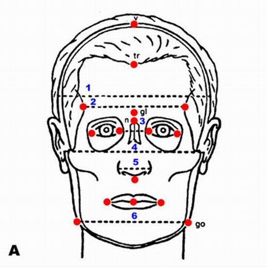 Разоблачение мифов о человеческом интеллекте