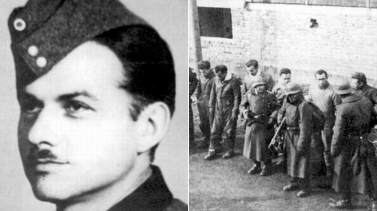 Удивительная история Хэннса Шарффа