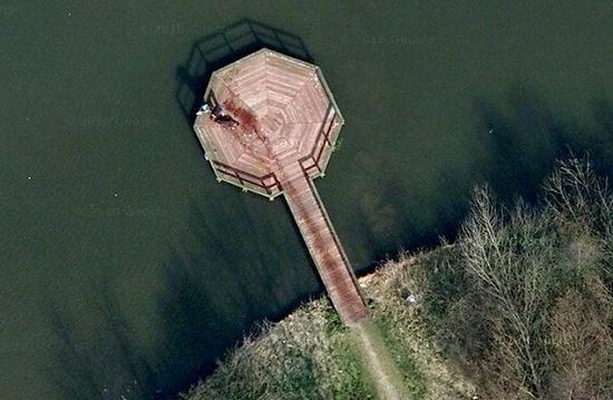 Прогулку с собакой на Google Maps приняли за убийство