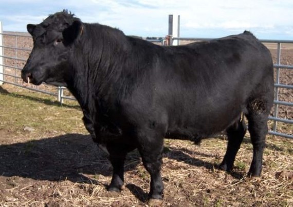 Самые экзотические спа-процедуры разных стран мира Самые экзотические спа-процедуры разных стран мира