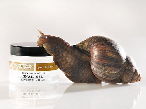 Самые экзотические спа-процедуры разных стран мира Самые экзотические спа-процедуры разных стран мира