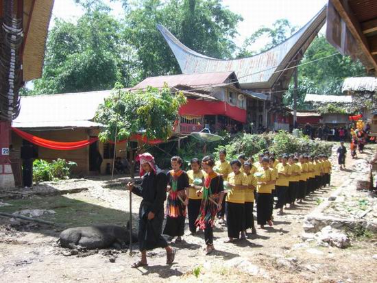 В Индонезии есть обычай раз в несколько лет доставать трупы из гробов, чтобы помыть и переодеть