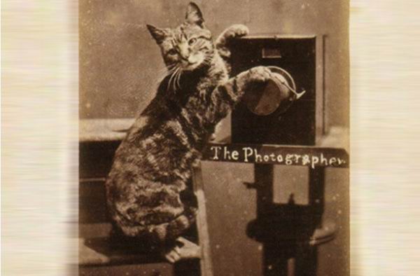 9 популярных интернет-мемов и трендов, которым, оказывается, уже сотни лет 9 популярных интернет-мемов и трендов, которым, оказывается, уже сотни лет